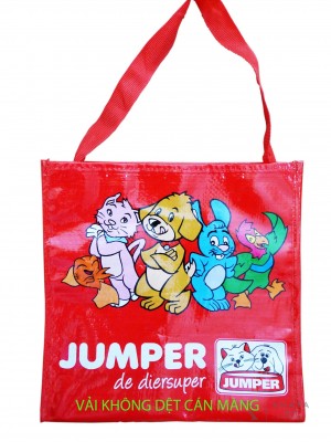 Túi vải không dệt 13