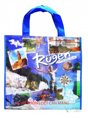 Túi vải không dệt 14